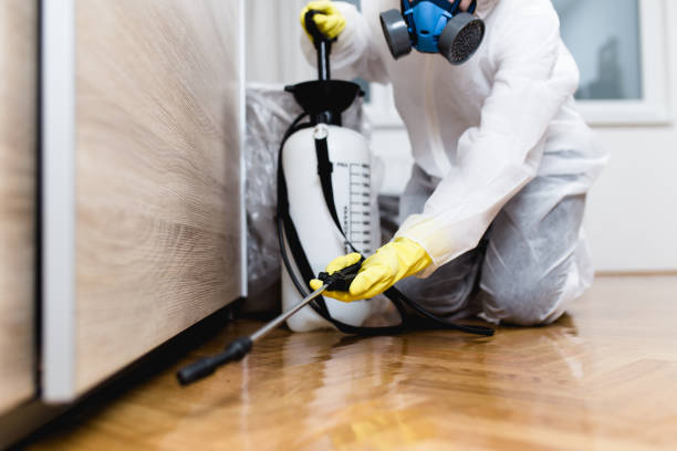 Best Emergency Pest Control  in Mountain House, CA