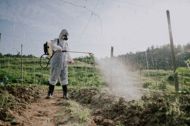 Best Commercial Pest Control Services  in Mountain House, CA