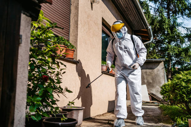 Best Termite Control Services  in Mountain House, CA