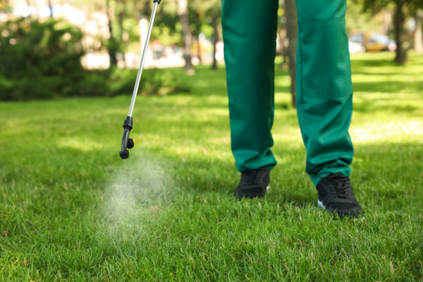 Best Emergency Pest Control  in Mountain House, CA