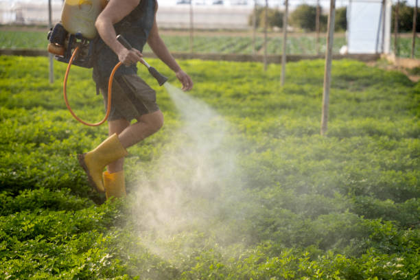 Best Insect Control  in Mountain House, CA